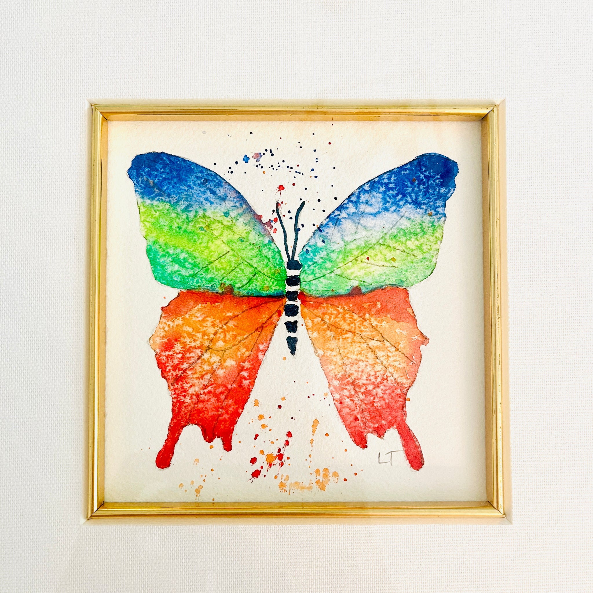 Framed Multi Colored Butterfly II Watercolor