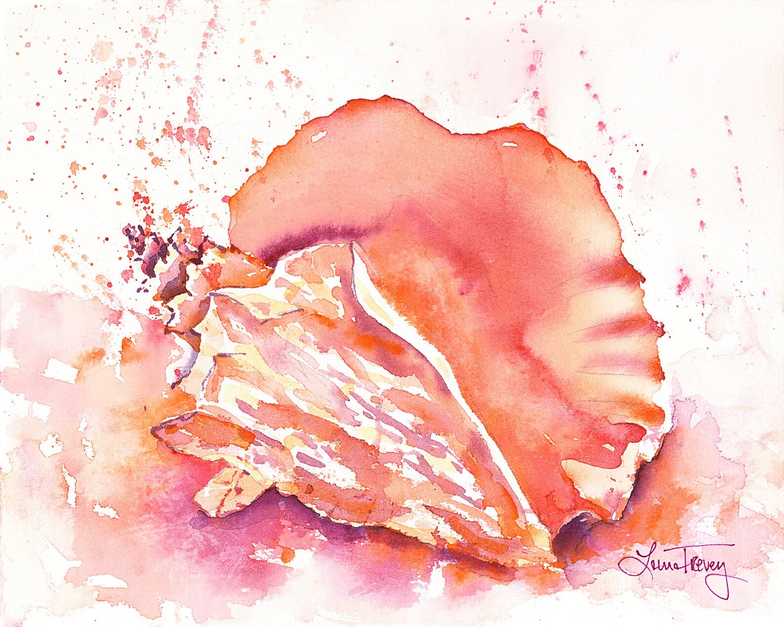 Pink Conch Shell Coastal Giclee Print