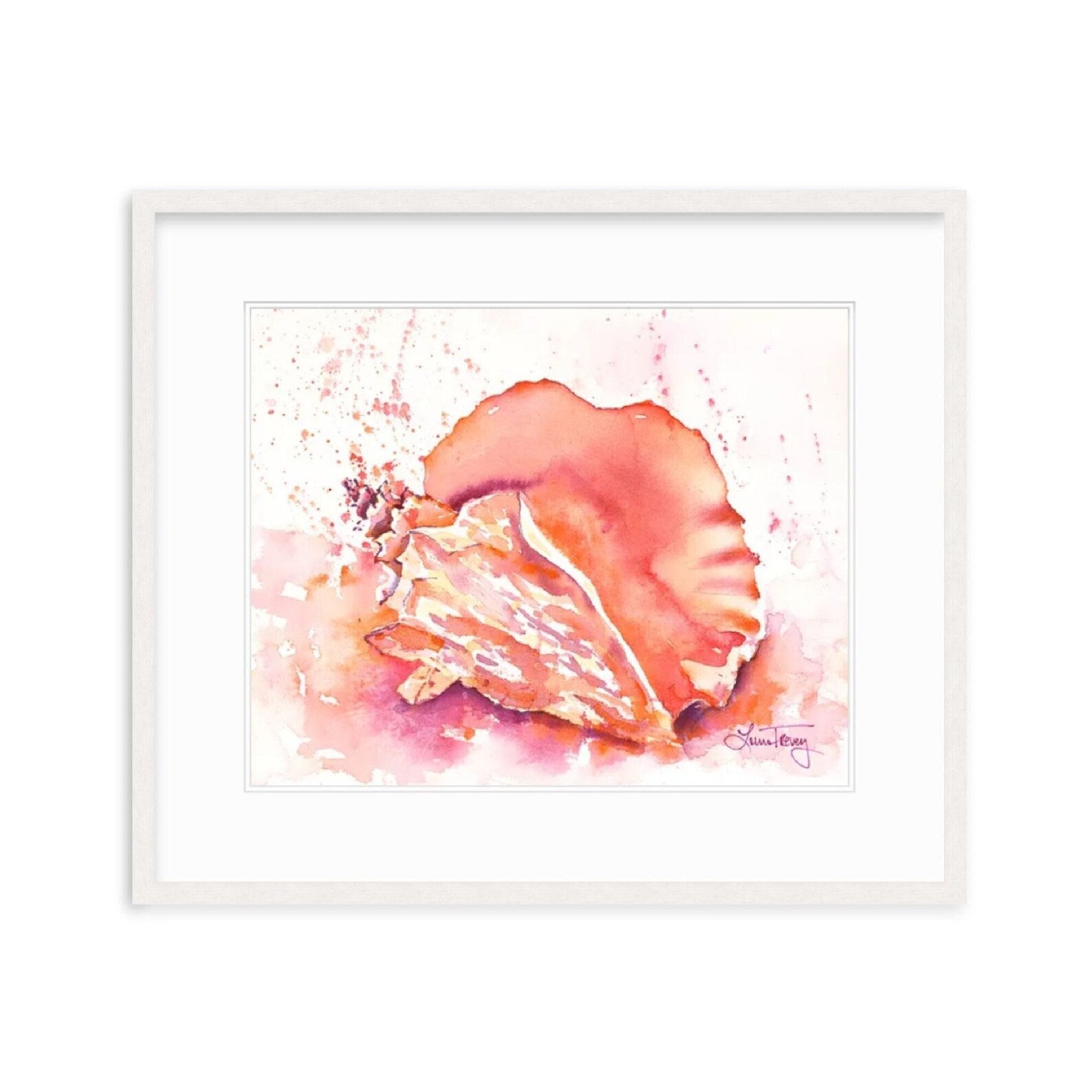 Pink Conch Shell Coastal Giclee Print