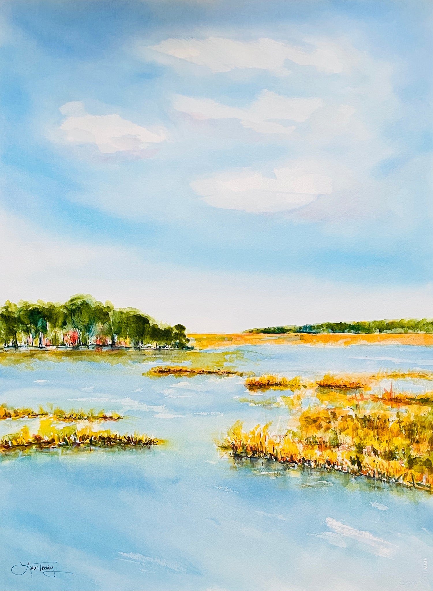Low Country Views Watercolor Framed