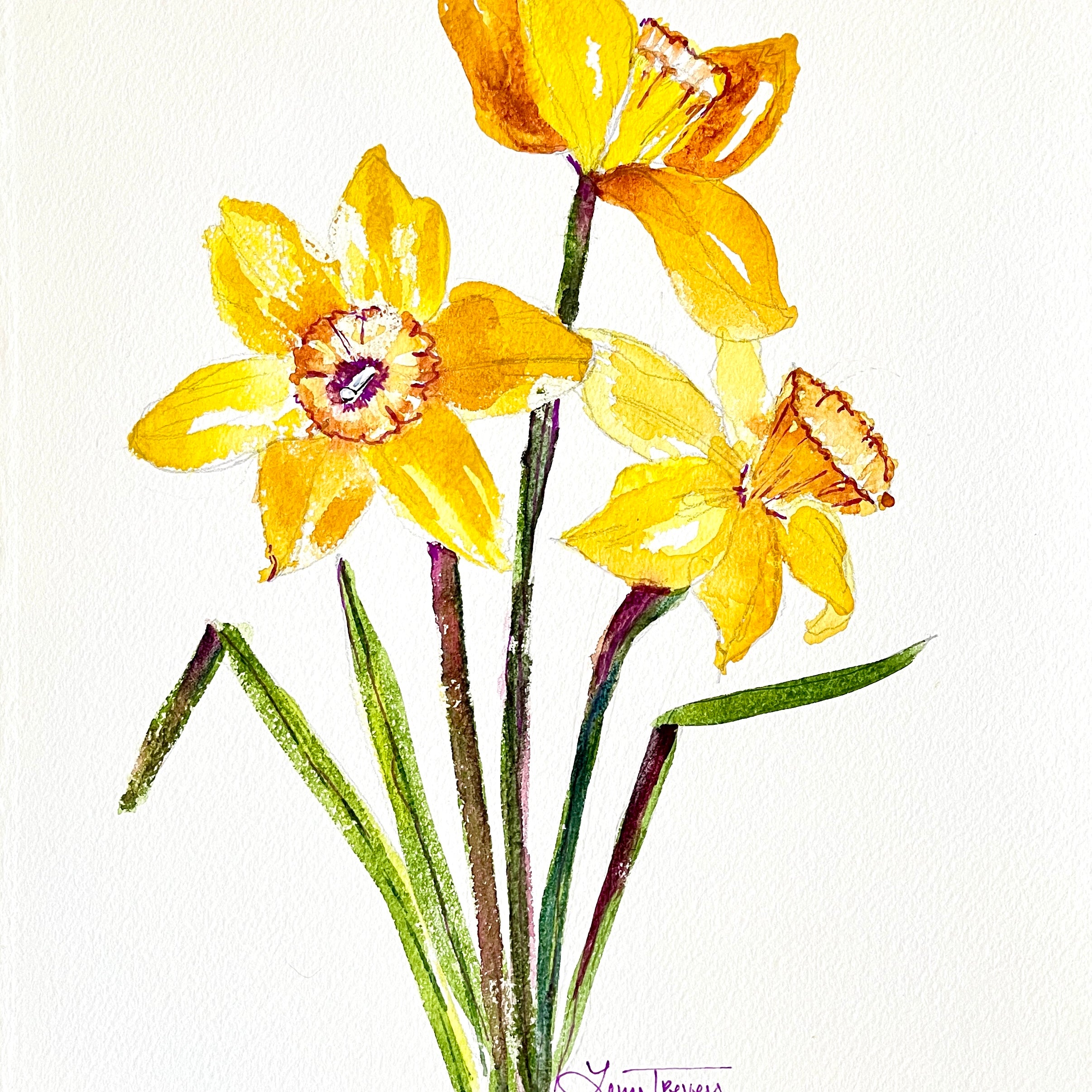 8x10 Spring Daffodils Botanical Watercolor Original Painting by Laura Trevey