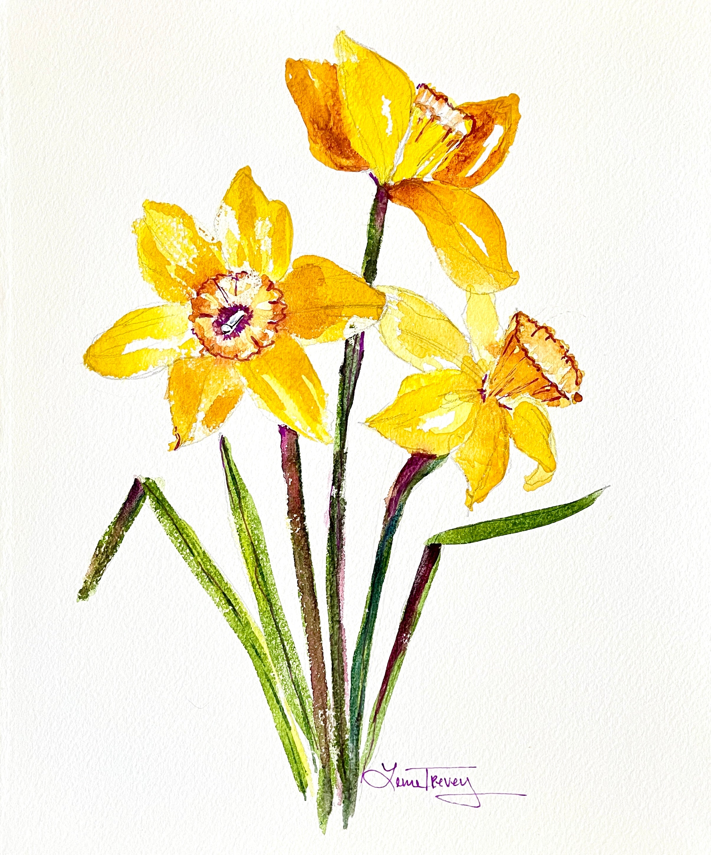 8x10 Spring Daffodils Botanical Watercolor Original Painting by Laura Trevey