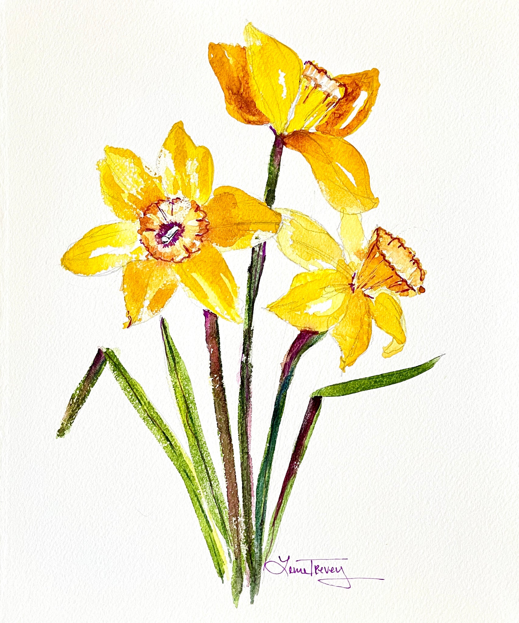 Daffodils 8x10 Botanical Watercolor Original Painting