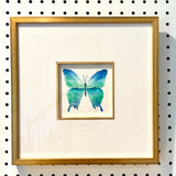 Framed Blue Green Butterfly IV Watercolor