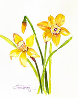 8x10 Original Yellow Daffodil Watercolor – Botanical Spring Flower Painting