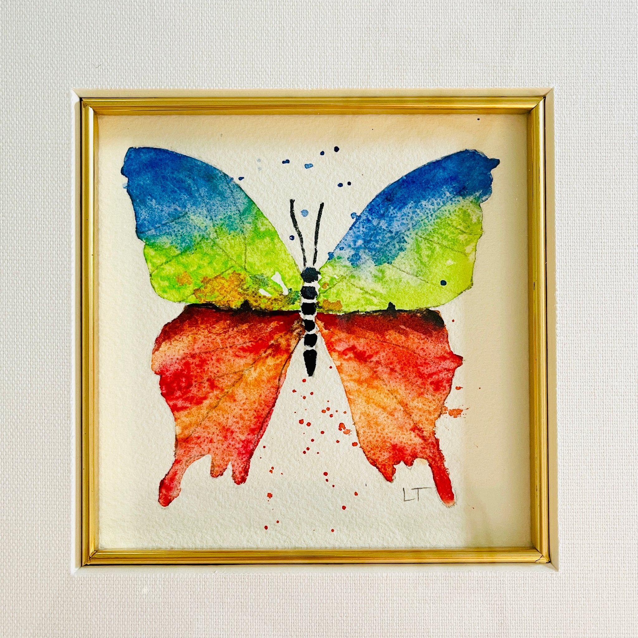 Framed Multi Colored Butterfly Watercolor