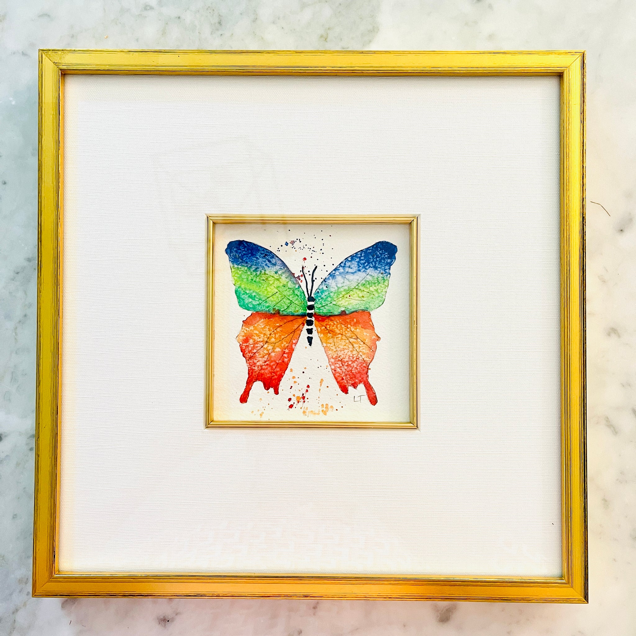 Framed Multi Colored Butterfly II Watercolor