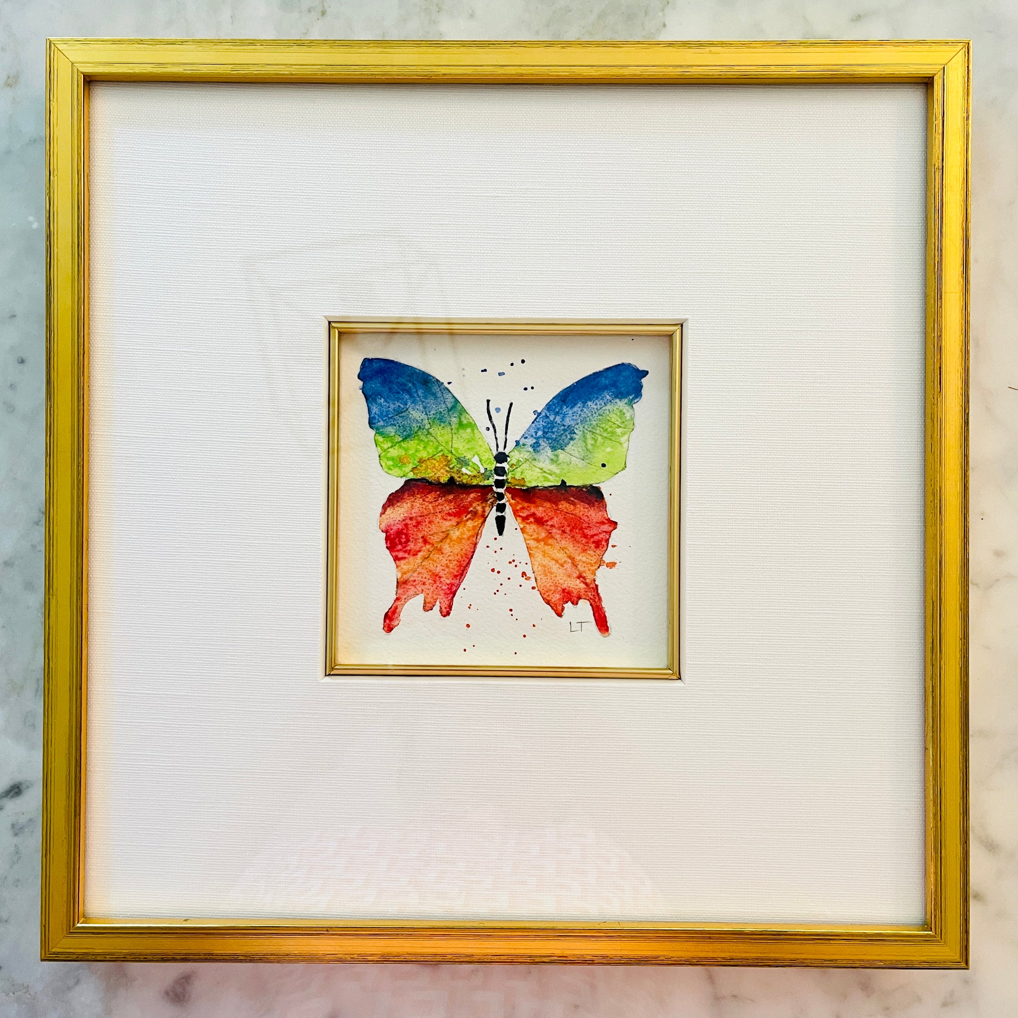 Framed Multi Colored Butterfly Watercolor