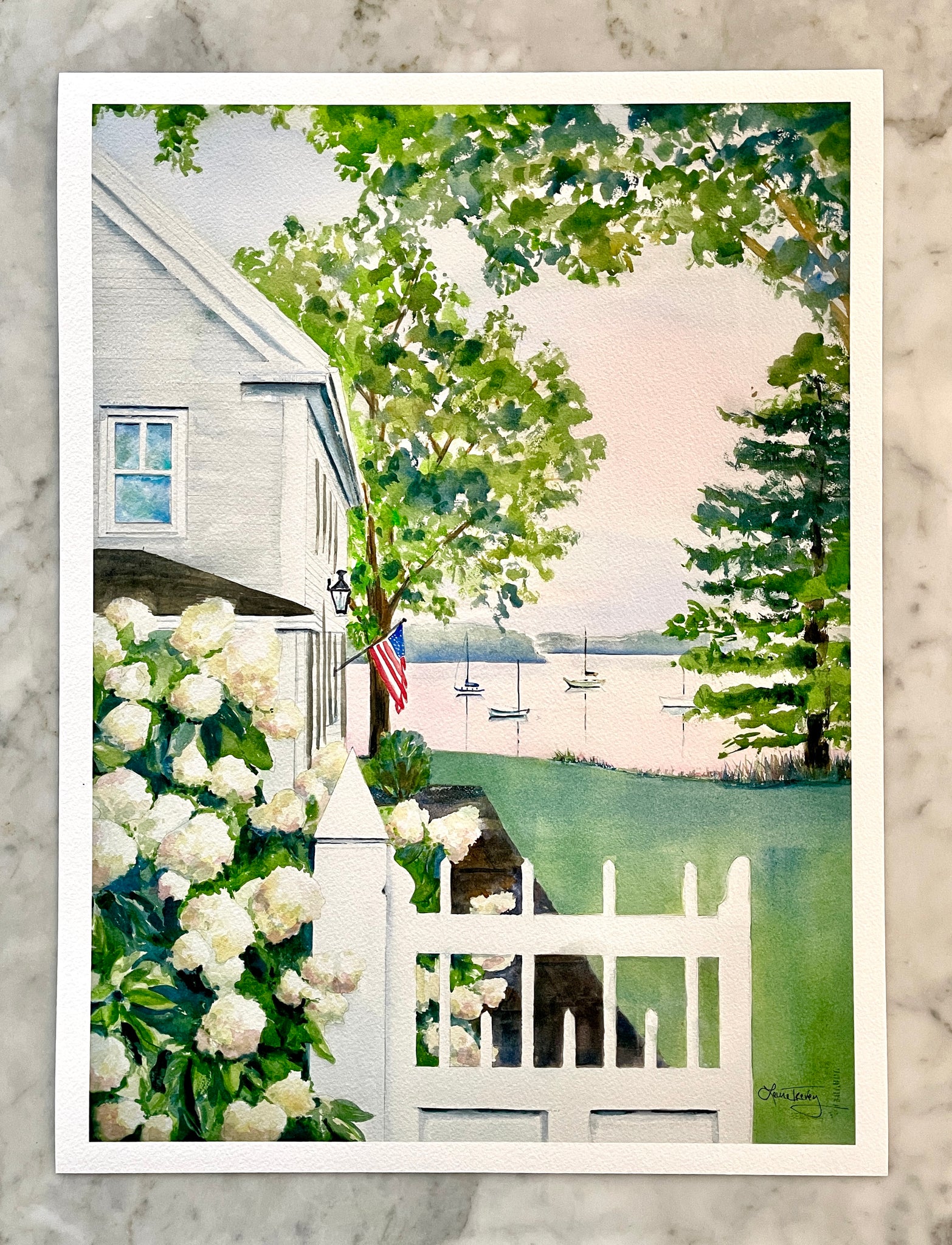 New England Hydrangea Giclee Print