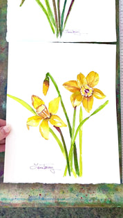 Daffodil Watercolor Painting